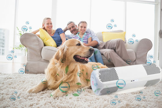 Disinfettore d'aria ABS con muffe private uccide virus influenzali H1N1 batteri funghi OEM/ODM