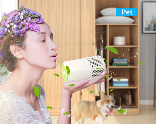 Purificatore d'aria per la cucina e il bagno Perfetto per rimuovere allergeni, polline e odori