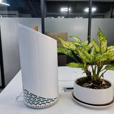 220V HEPA filtro per odori di animali domestici con filtro di carbonio attivato a plasma freddo e muffe private