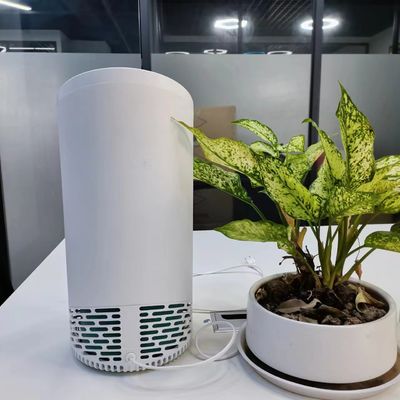 Controllo del tocco bianco sì H13 detergente allergenica per strutture mediche