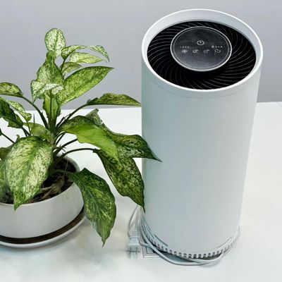 Purificatore d'aria a plasma freddo HEPA con filtro al carbonio attivo