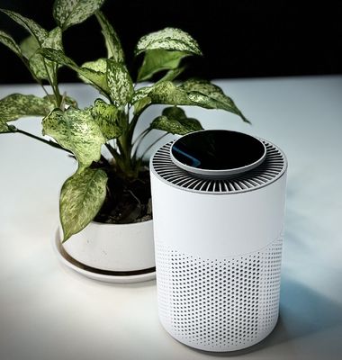 Controllo tattile Sterilizzatore d'aria al plasma con HEPA Isolare particelle di fuochi d'artificio di seconda mano