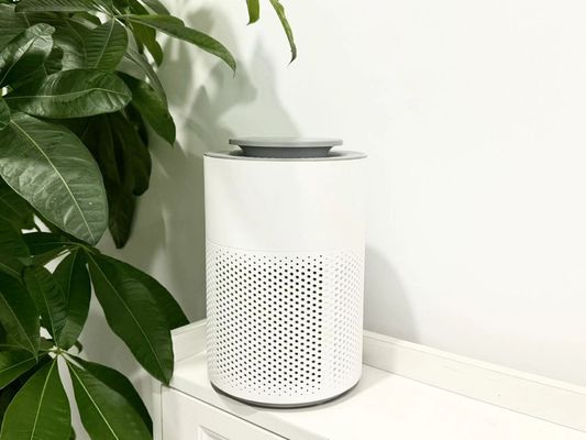 HC10 Pulizzatore d'aria portatile per fumo di tabacco con funzionamento silenzioso e basso consumo energetico