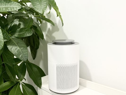 Purificatore d'aria HEPA altamente reattivo con tecnologia al plasma freddo per la sicurezza e la sterilizzazione