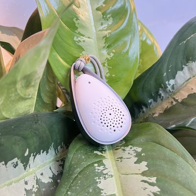 Purificatore d'aria portatile di piccole dimensioni per sterilizzazione sicura ed ecologica