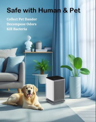 Purificatore d'aria per disinfezione da 4,2 kg, aria pulita e sana a tensione DC12V con certificazioni FCC