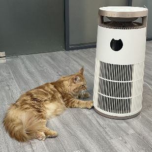 VDETTE HP01 Purificatore d'aria HEPA ad ozono con timer 220V Bianco