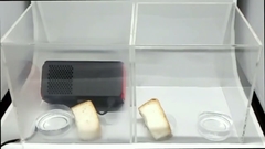 Rumore 27dB Purificatore di aria fresca per auto per aria fresca e pulita